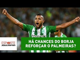 Ainda há chances de Miguel Borja reforçar o Palmeiras?