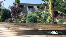 Highland Park CA Real Estate - Homes for Sale - Tracy King Realtor