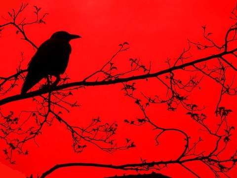 The Raven by Edgar Allan Poe (read by Chris Goringe)