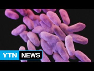 일본 '식인 박테리아' 비상...우리나라는 안전한가? / YTN