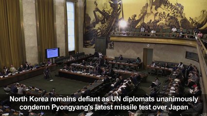 US and allies slam N. Korea missile test at UN