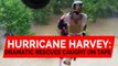 Hurricane Harvey: Dramatic rescues caught on video