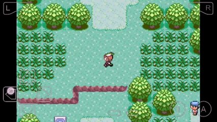 Tricher triche émeraude Pokemon myboy codes