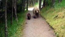 An Adventurous Trek With The Bear Family