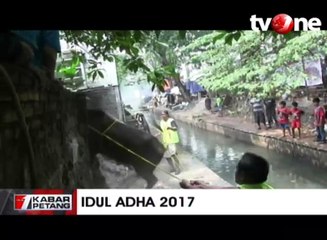 Hendak Disembelih, Sapi ini Mengamuk dan Melarikan Diri