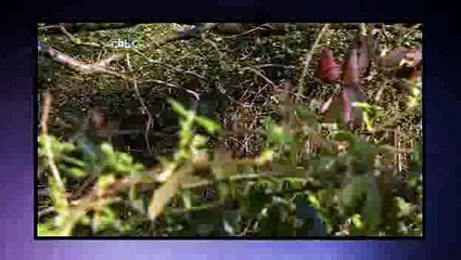 The Sarah Jane Adventures S02E03 The Day of the Clown - P1