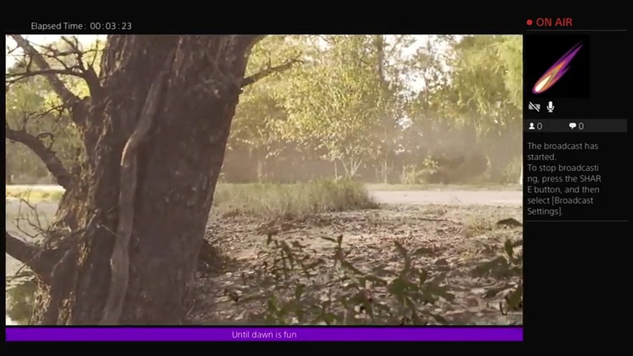 Suicidesquide's playing until dawn (9)