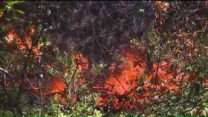 Man in Custody After Allegedly Starting Destructive Fire in Northern California