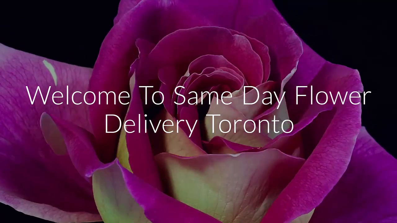 Call @ 647-492-3276 For Same Day Flower Delivery Toronto ...