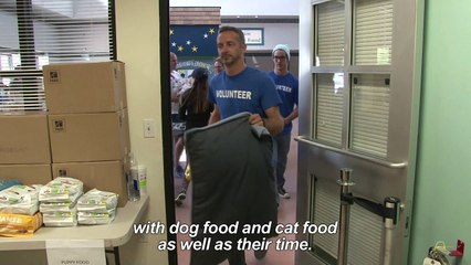 Thousands of pets find shelter from Texas flood waters