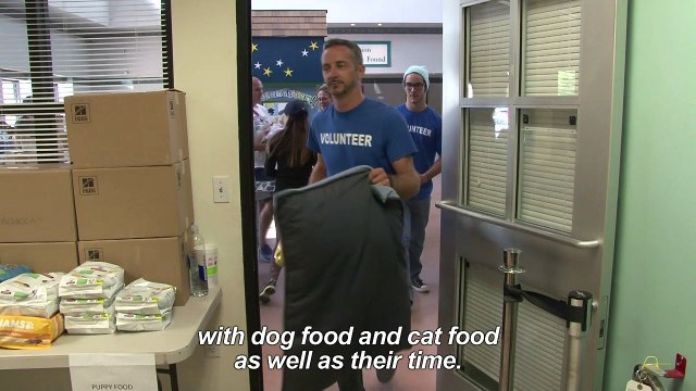 Thousands of pets find shelter from Texas flood waters