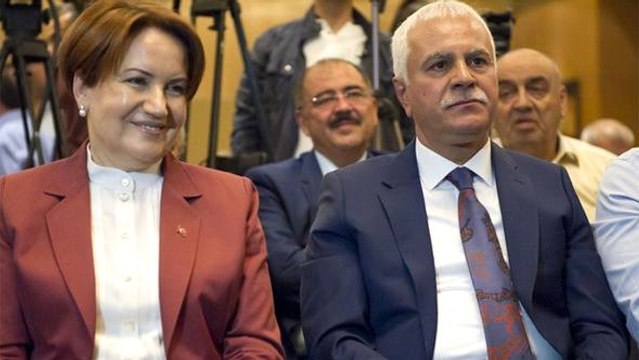Meral Akşener'in Partisinde Bozkurt ve Türkeş Yasağı