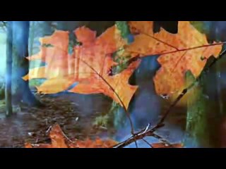 Soft Instrumental Music By Subir Music Amaro Parane Jaha Chai