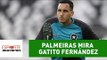 Exclusivo! PALMEIRAS quer contratar GATITO para 2018!