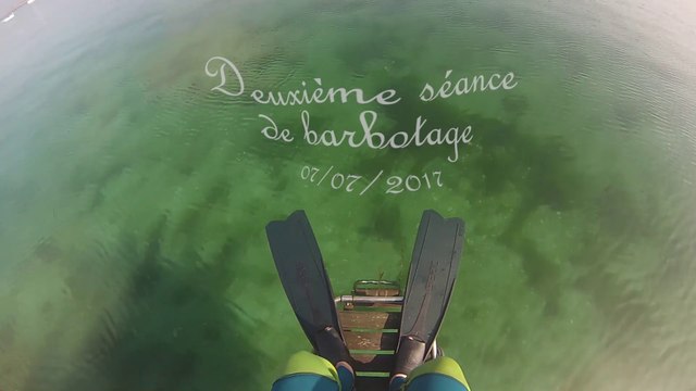 07/07/2017 Plongée aux Glénans