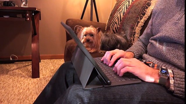 Apple iPad Pro Smart Keyboard- Unboxing & Review