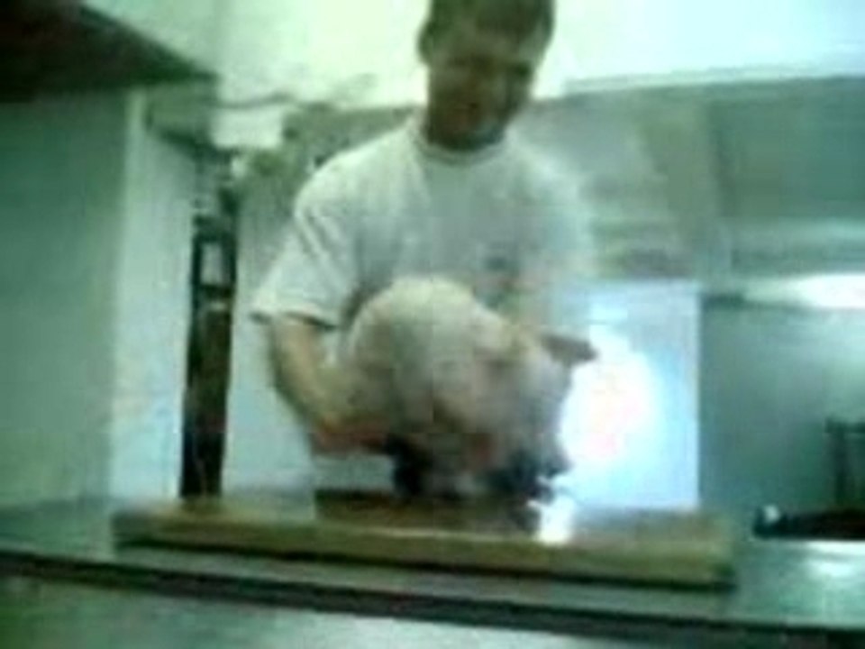 Schwein