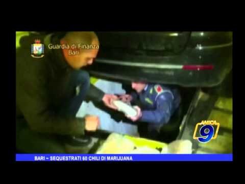 Bari | Sequestrati 60 chili di marijuana