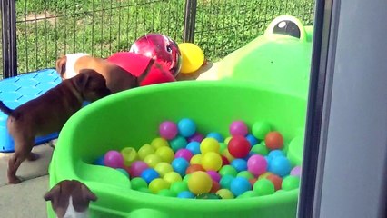 87ème Vidéo La belle terrasse de STAFFORDLAND