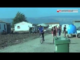 TG 28.03.14 15 euro al giorno per defoliare carciofi, "liberati" 54 nuovi schiavi nel Foggiano