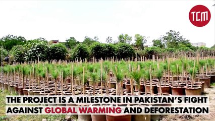 Billion Tree Tsunami, KP The First Ever To Meet Bonn Challenge, TCM Report