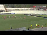 TG 14.04.14 Calcio, serie B: Varese-Bari 0-1. Galletti dall'incubo retrocessione al sogno playoff