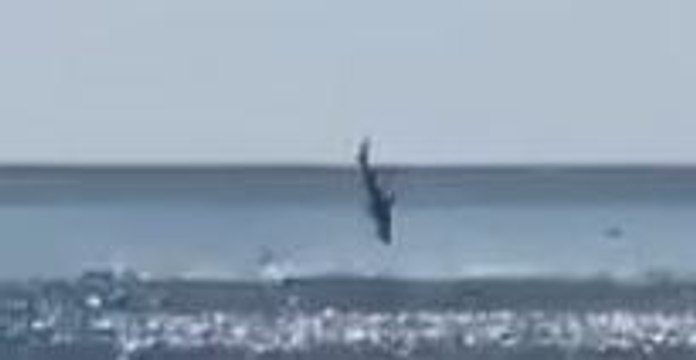 Beach Goers Capture Footage of Shark Jumping Out of the Water