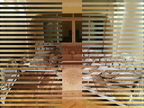 Kamer Hatun Eski Eşya Alan Yerler | 0542 541 06 06