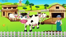 Animal doctor Care. Pets of jungle - Panda, Lion, Zebra. Forest dwellers. Kids Game app. P