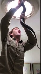 Un serpent s'incruste dans une lucarne