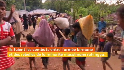 Des milliers de Rohingyas fuient les combats en Birmanie