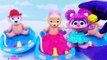 Patte patrouille bébé poupée bain temps argile vase jouet les meilleures apprentissage les couleurs enfants vidéo