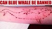 Blue Whale challenge : Can this online game be banned? | Oneindia News