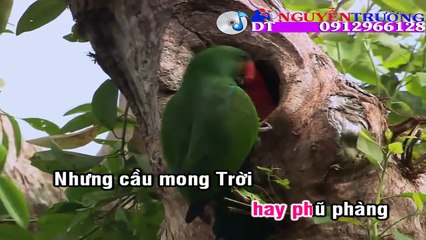 Karaoke LK Dấu Chân Kỷ Niệm Beat Chuẩn