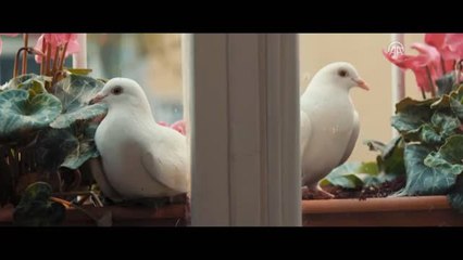 Sinema - Bekar Bekir