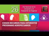 Día Nacional de Donación y Transplante de Organos y Tejidos