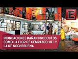 Lluvias en Xochimilco dejan serias afectaciones en viviendas y cultivos