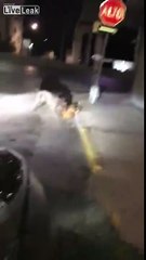 Un homme sauve un chien errant sauvagement attaqué par un pitbull