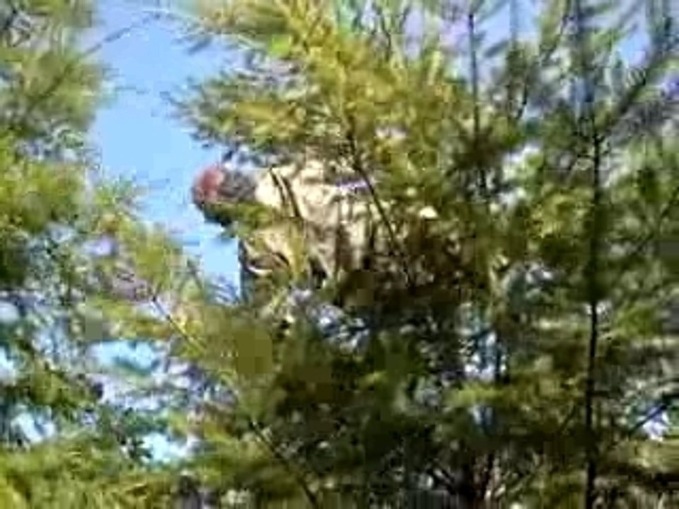 petit révèil bien agitééééé 2