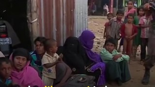 A plea from Rohingya Muslims