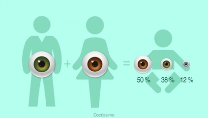 Quelle sera la couleur des yeux de votre futur bébé ?