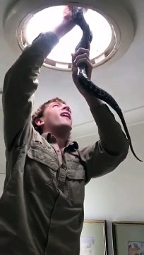 Un python s’incruste dans la lucarne d’une salle de bain