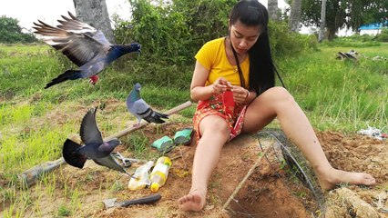 Cách bẩy chim rừng thành công 100% Qúa dễ dàng