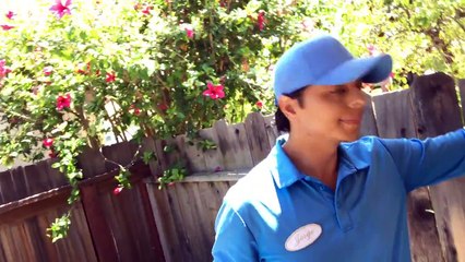 Bi weekly landscape maintenance in Santa Barbara