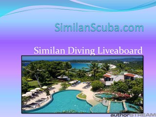 Similan Diving Liveaboard
