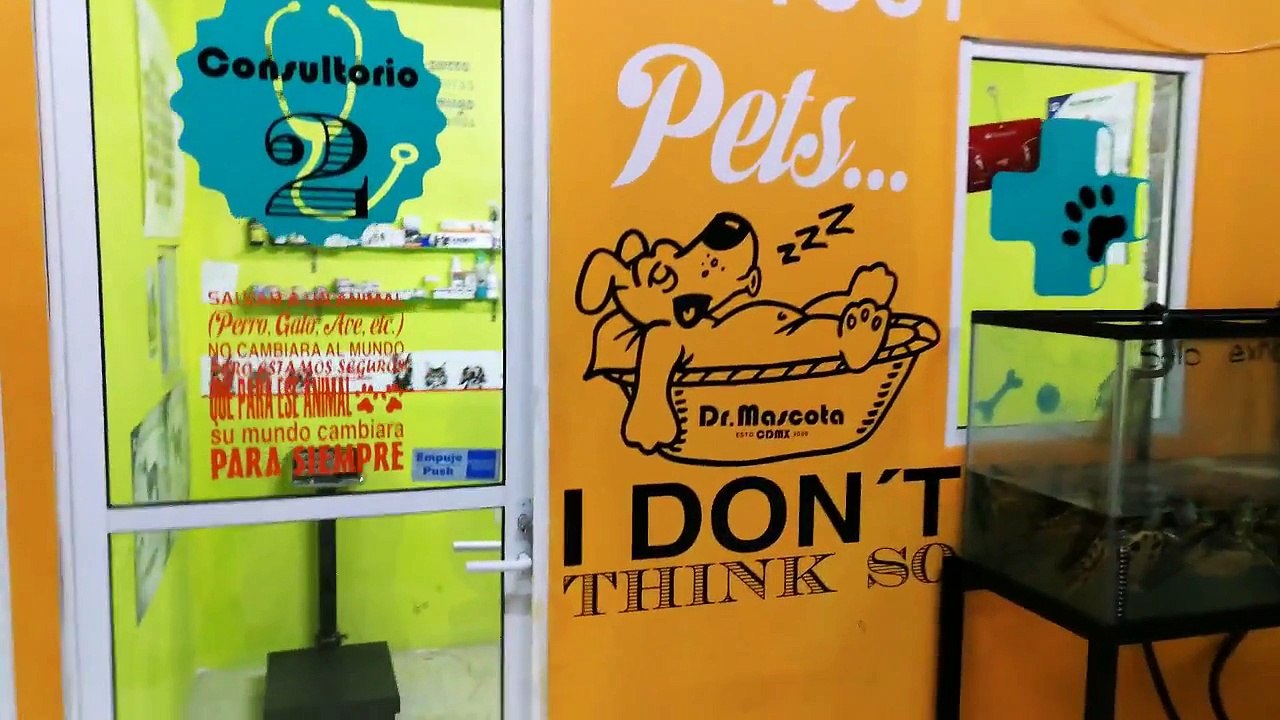 Dr. Axel Guzmán - Medicina Veterinaria de Pequeñas Especies