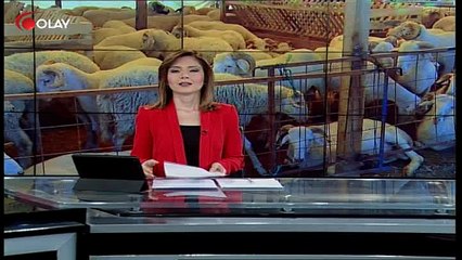 Kurban pazarları hareketlendi (Haber 30 08 2017)