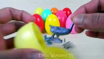 Et animaux oiseau des œufs enfants Apprendre des noms nombres la télé avec Collection surprise |
