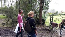 Video Review Volunteer Alexa Cox Ecuador Quito at the Hippotherpy Program