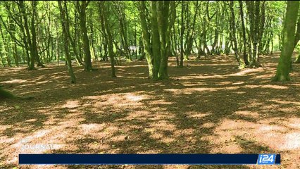 Cité gauloise, Bibracte n'en finit pas de livrer ses secrets